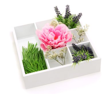 Beautiful flowers arranged in wooden box isolated on white