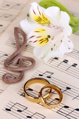 Treble clef, flower and wedding rings on musical background