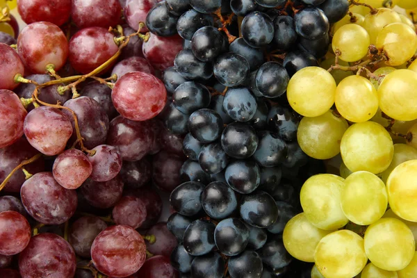 Sortimento de uvas doces maduras, close up — Fotografia de Stock