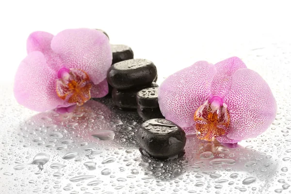 Piedras de spa y flores de orquídea, sobre fondo mojado — Foto de Stock