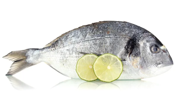 Dorado fish with lemon isolated on white — Stock Photo, Image