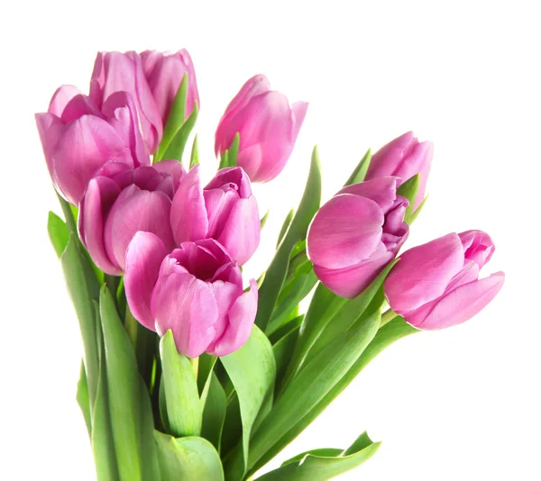 Schöner Strauß lila Tulpen, isoliert auf weiß — Stockfoto