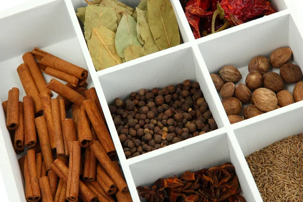 Assortment of aroma spices in white wooden box close up — Stock Photo, Image