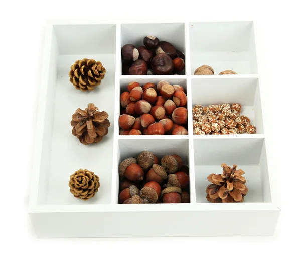 Surtido de frutos secos, castañas, piñas y bellotas en caja de madera blanca aislada en blanco — Foto de Stock