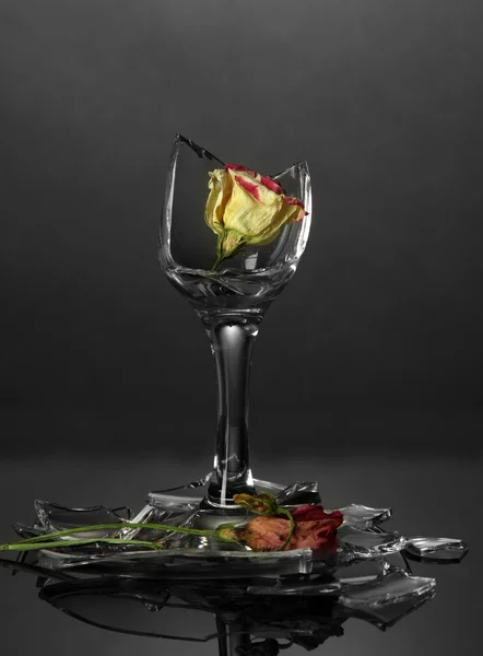 Broken wineglass with dry flower on grey background — Stock Photo, Image