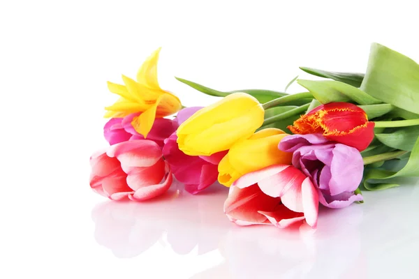 Schöne Tulpen im Strauß isoliert auf weiß — Stockfoto