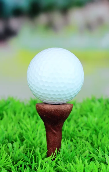 Golfboll på gräs utomhus på nära håll — Stockfoto