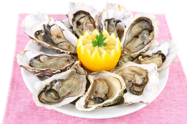 Oesters geïsoleerd op wit — Stockfoto