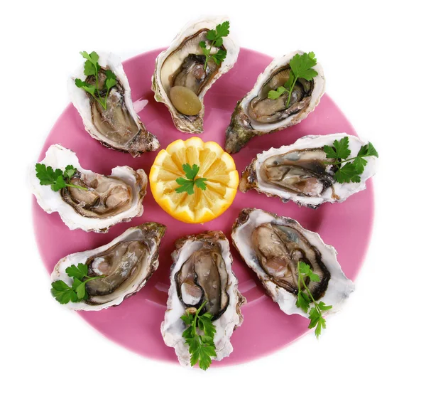 Oysters isolated on white — Stock Photo, Image