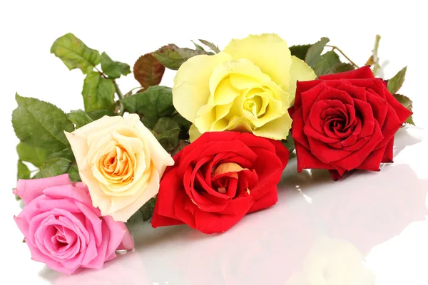 Beautiful colorful roses isolated on white — Stock Photo, Image