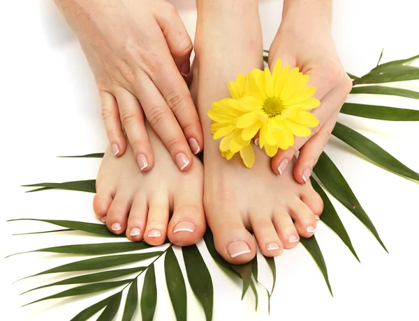 Beautiful woman legs and hands, isolated on white — Stock Photo, Image