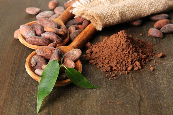 Granos de cacao en cucharas y cacao en polvo sobre fondo de madera —  Fotos de Stock