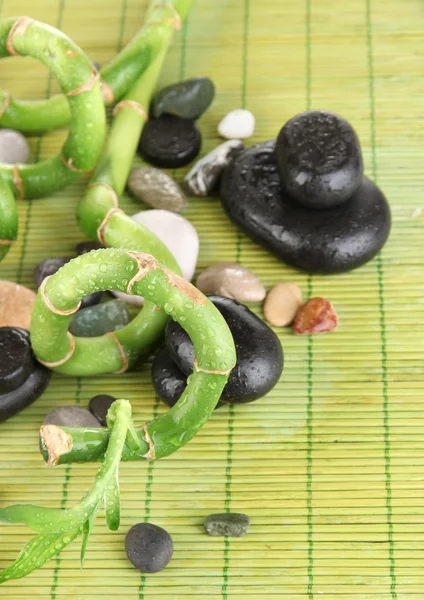 Beautiful bamboo branches with stones for spa on wooden table — Stock Photo, Image