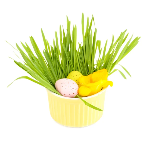 Uovo di Pasqua in ciotola con erba sul tavolo isolato su bianco — Foto Stock