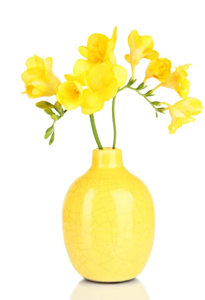 Hermoso ramo de freesia en jarrón amarillo aislado en blanco — Foto de Stock