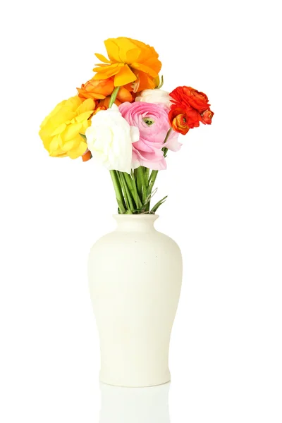 Pryskyřník (perský blatouchy) v vázu, izolované na bílém — Stock fotografie