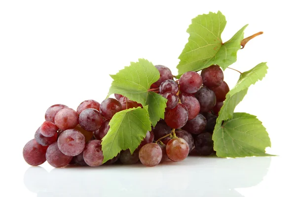 Ripe sweet grapes isolated on whit Stock Image