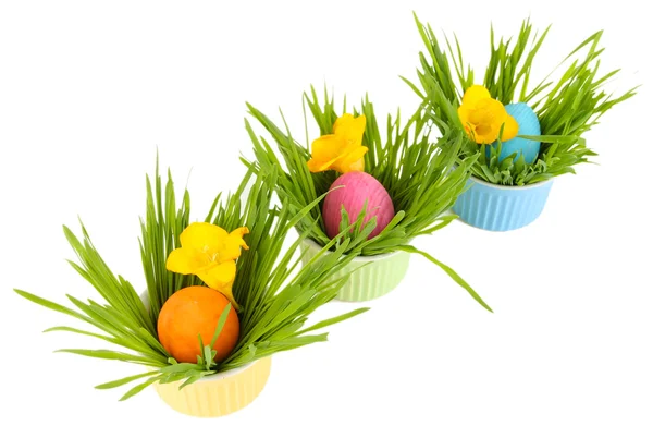 Easter eggs in bowls with grass on table isolated on white — Stock Photo, Image