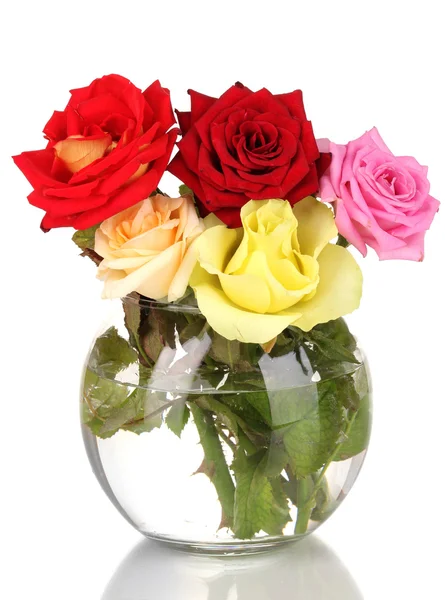 Beautiful roses in glass vase isolated on white — Stock Photo, Image