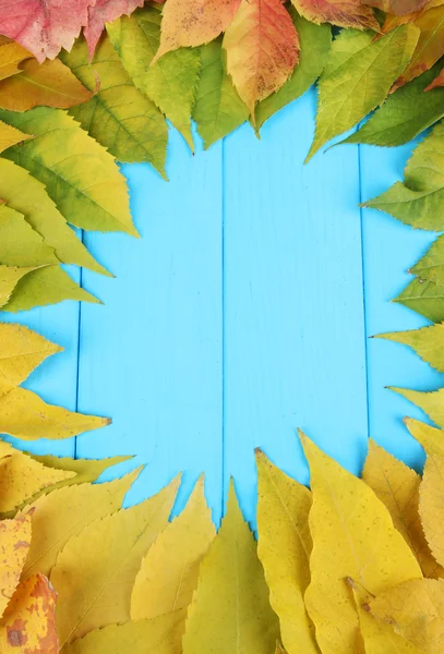 Bright autumn leaves on blue wooden board background — Stock Photo, Image