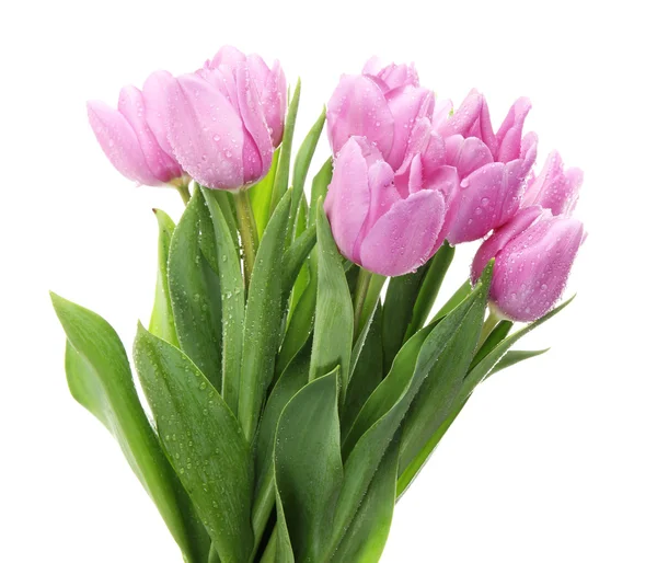 Mooi boeket van paarse tulpen, geïsoleerd op wit — Stockfoto