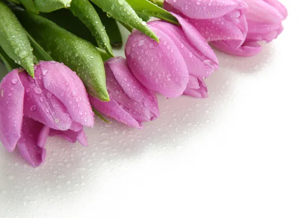 Прекрасный букет фиолетовых тюльпанов, изолированных на белом — стоковое фото