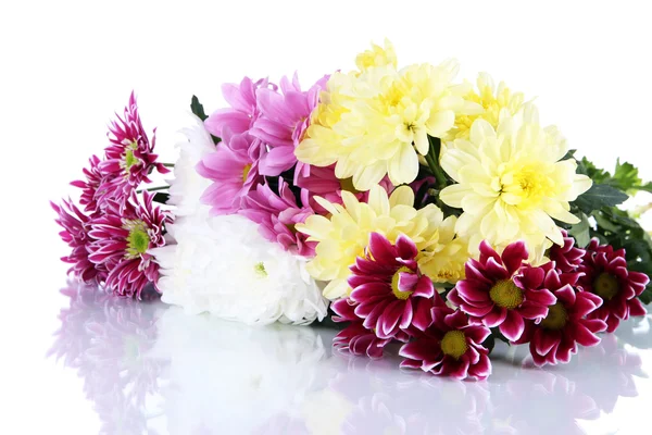 Bouquet of beautiful chrysanthemums isolated on white — Stock Photo, Image