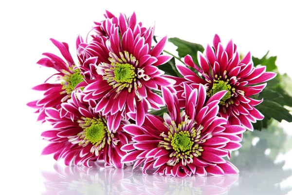 Bouquet of beautiful chrysanthemums isolated on white — Stock Photo, Image