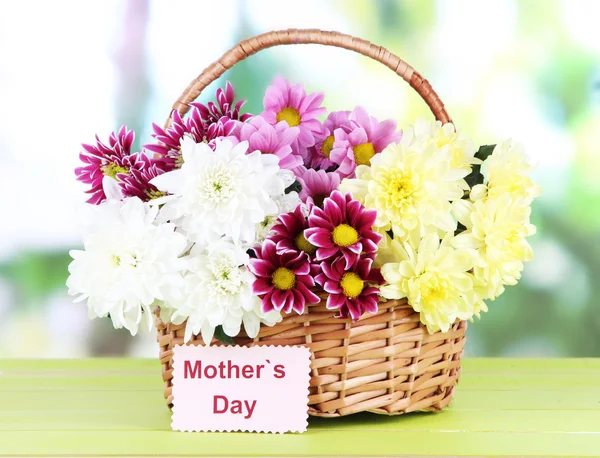 Bouquet of beautiful chrysanthemums in wicker basket on table on bright background — Stock Photo, Image