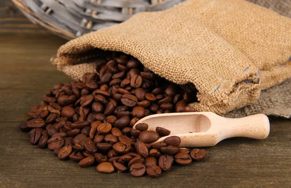 Coffee beans in sack on wooden background — Stock Photo, Image