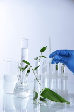 test tüpleri ile ışık arka plan bitki