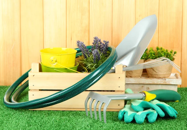 Garden tools on grass in yard — Stock Photo, Image