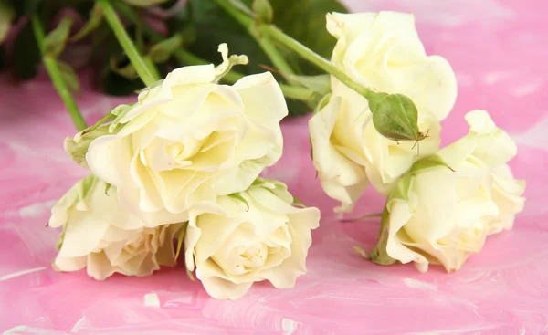 Schöne weiße Rosen in Nahaufnahme, auf farbigem Hintergrund — Stockfoto