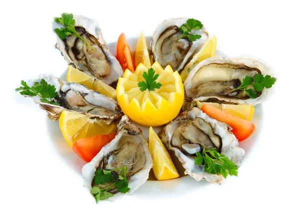 Oesters geïsoleerd op wit — Stockfoto