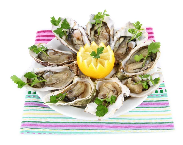 Oesters geïsoleerd op wit — Stockfoto