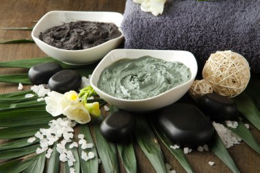 palmiye yaprak zemin üzerine spa uygulamaları için kozmetik kil ile kompozisyon