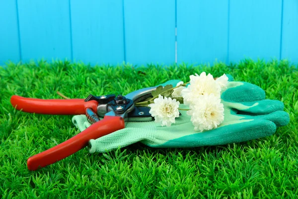 Gartenschere mit Blume auf Gras auf Zaun Hintergrund — Stockfoto