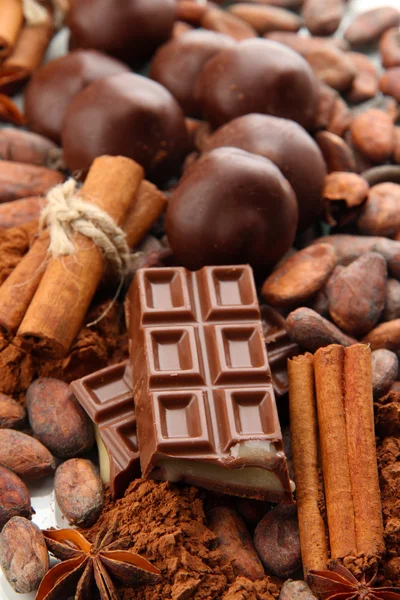 Composition of chocolate sweets, cocoa and spicese — Stock Photo, Image