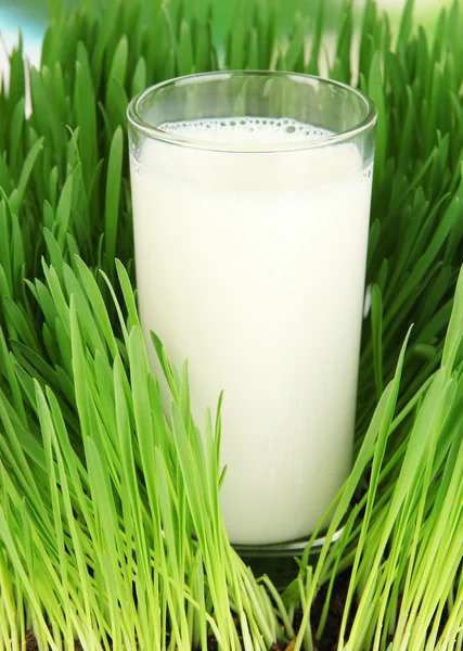 Glas mjölk stående på gräs på nära håll — Stockfoto