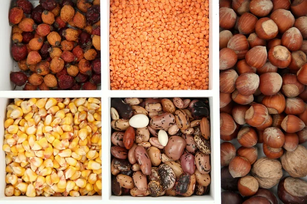 Assortment of chestnut,beans — Stock Photo, Image