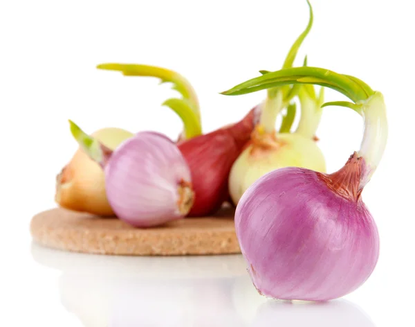 Kiemen uien aan boord van close-up — Stockfoto