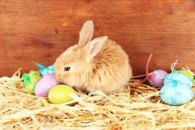 ahşap arka plan üzerinde kabarık kurnaz tavşan samanlıkta ile Paskalya yumurta