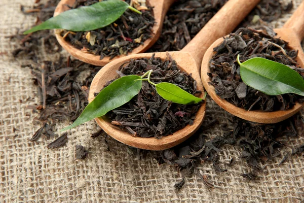 Dry tea with green leaves in wooden spoons, on burlap background — Stockfoto