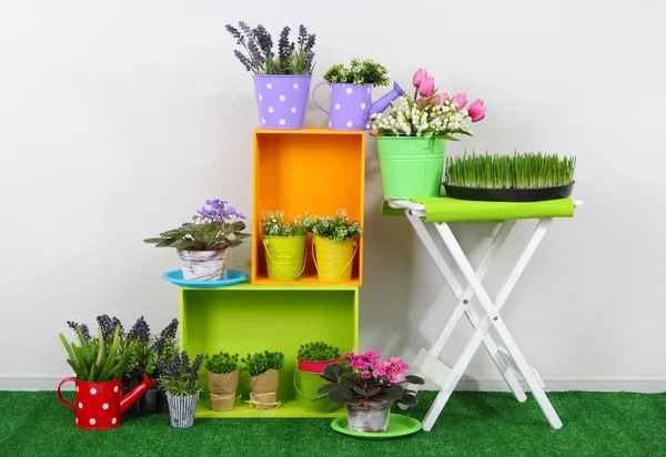 Beautiful colorful shelves and table with decorative elements standing on grass — Stock Photo, Image