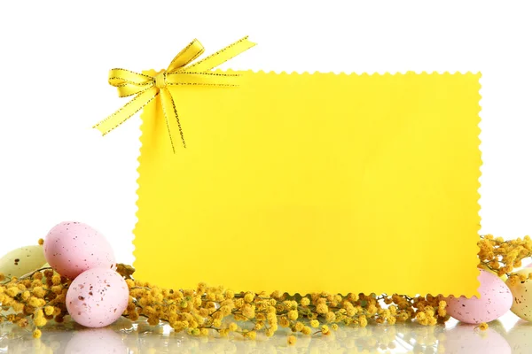 Empty card with easter eggs and mimosa flowers, isolated on white — Stock Photo, Image