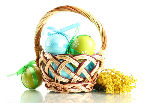 Huevos de Pascua en cesta y flores de mimosa, aislados en blanco — Foto de Stock