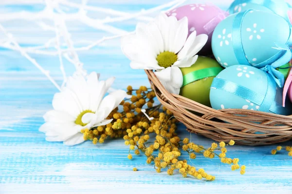 Uova di Pasqua in cesto e fiori di mimosa, su fondo di legno blu — Foto Stock