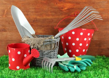 bahçede çimlerin üzerine Bahçe aletleri