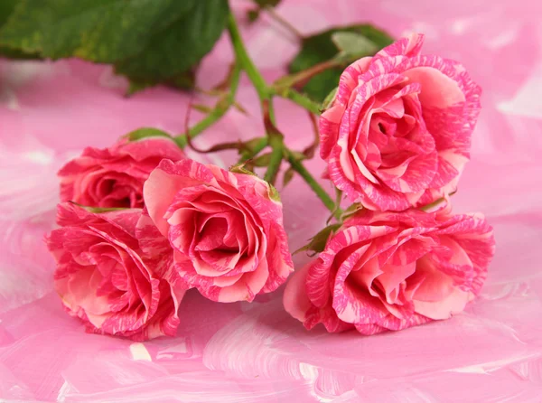 Hermosas rosas rosadas de primer plano, sobre fondo de color —  Fotos de Stock