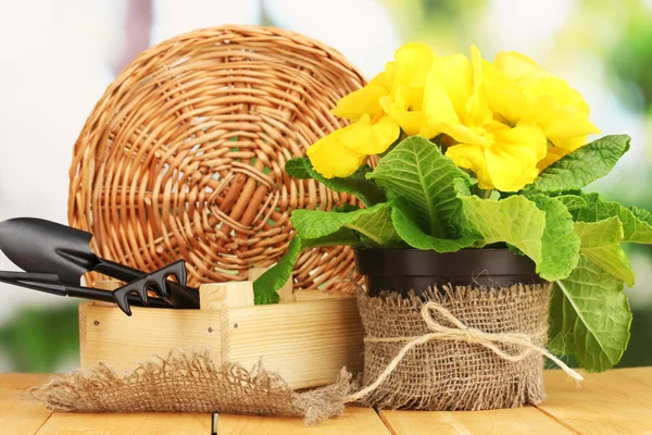 Schöne gelbe Primeln im Blumentopf auf Holztisch auf grünem Hintergrund — Stockfoto